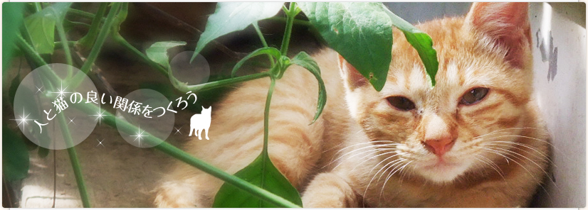 �l�ƔL�̗ǂ��֌W�����낤